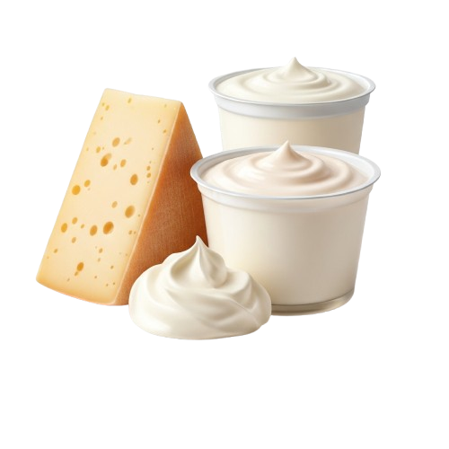Cheese & Dairy